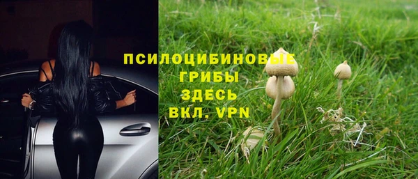 прущая мука Костерёво