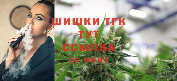 ALPHA PVP Козельск
