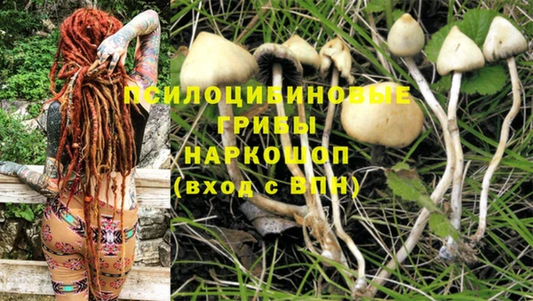 ALPHA PVP Козельск
