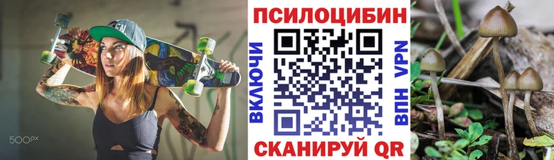 Галлюциногенные грибы Cubensis  как найти   Навашино 